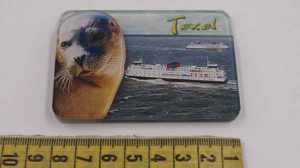 Sanat Taciri - Texel Temalı Magnet Fok Balığı Mika - 3