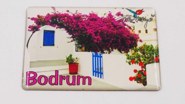 Sanat Taciri - Bodrum Kireçli Badanalı Çiçekli Evler Magnet