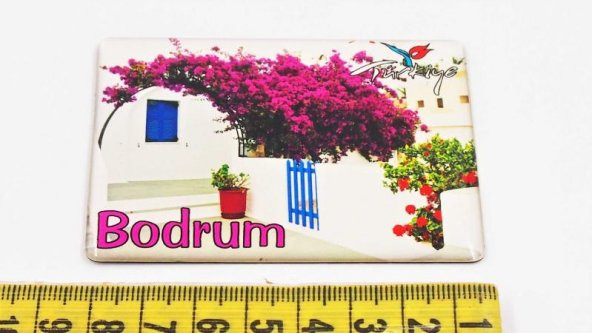 Sanat Taciri - Bodrum Kireçli Badanalı Çiçekli Evler Magnet - 3