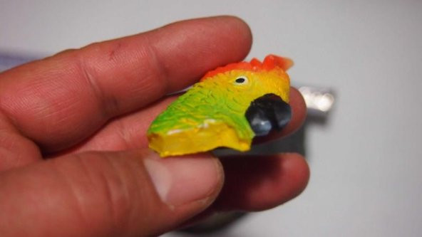 Sanat Taciri - Seramik Renkli Papağan Magnet Koleksiyonluk