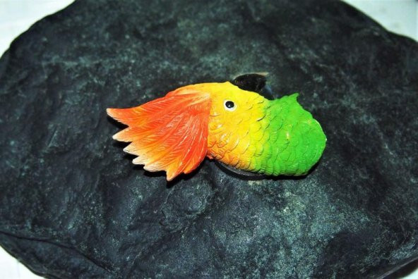 Sanat Taciri - Seramik Renkli Papağan Magnet Koleksiyonluk