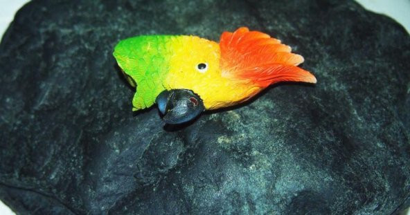 Sanat Taciri - Seramik Renkli Papağan Magnet Koleksiyonluk - 2
