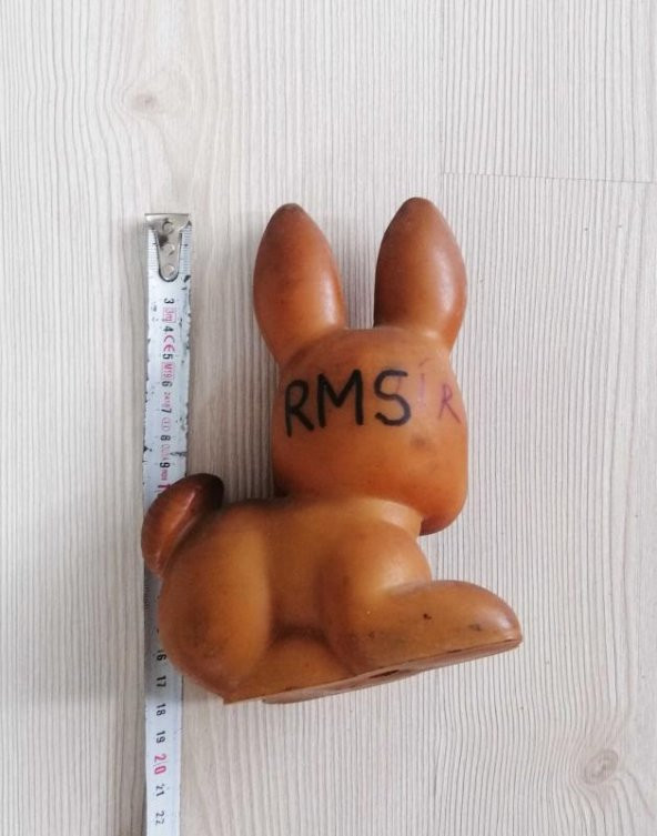 AVRUPA PLASTİK TAVŞAN OYUNCAK TAVŞAN - 4