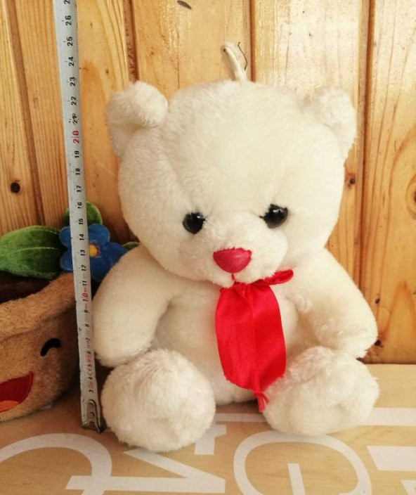 TEMİZ PELUŞ AYICIK+ SAKSIDAKİ ÇİÇEK KUTUP AYISI VE SAKSI - 2