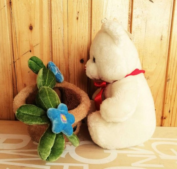 TEMİZ PELUŞ AYICIK+ SAKSIDAKİ ÇİÇEK KUTUP AYISI VE SAKSI - 3