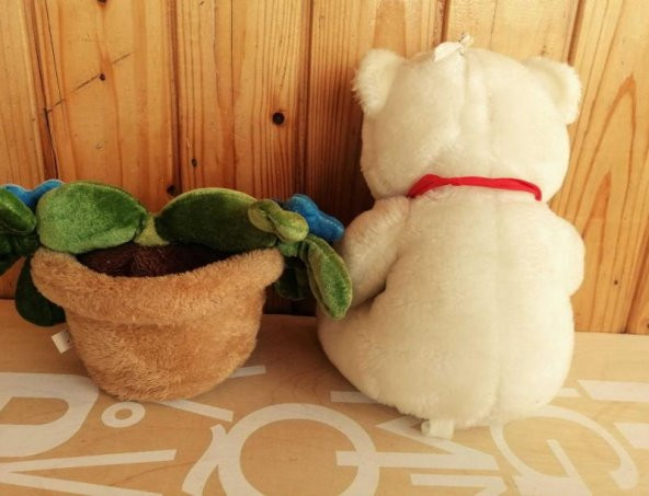 TEMİZ PELUŞ AYICIK+ SAKSIDAKİ ÇİÇEK KUTUP AYISI VE SAKSI - 4