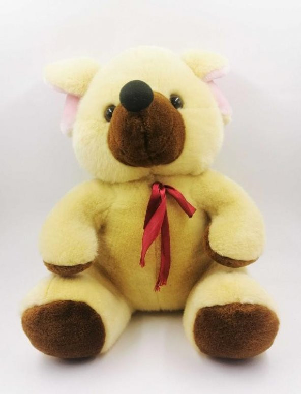 PELUŞ OYUNCAK PELUŞ AYI - 2