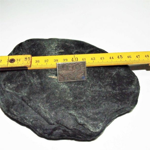 Koleksiyonluk Tsing Yi Hong Kong Lions Rozet Broş - Yaka İğnesi ürün görseli