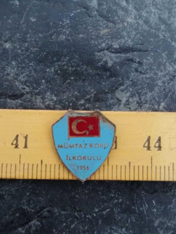 Antika 1956 Mümtaz Koru İlkokulu Rozet İş Yeri Marka Yazılı Rozet Broş ürün görseli