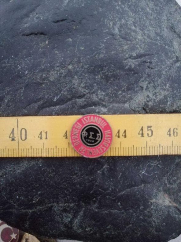 Antika 1946 İstanbul Hayırsevenler Derneği Rozet Broş ürün görseli