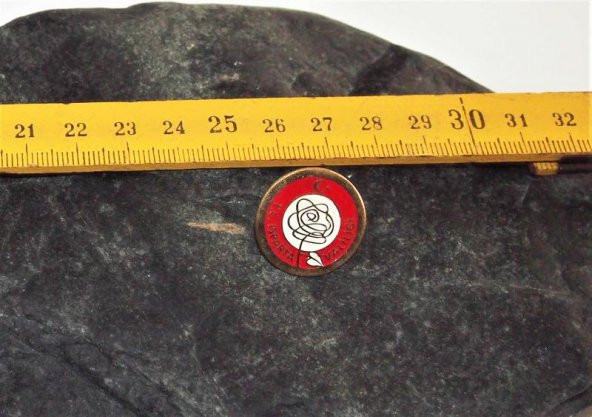 Antika - TC. Isparta Valiliği - Firma - İş yeri - Marka Yazılı Rozet Broş - Resim 2