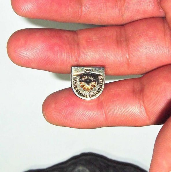 Koleksiyonluk 2006 Namık Kemal Üniversitesi Rozet Yaka Broş ürün görseli