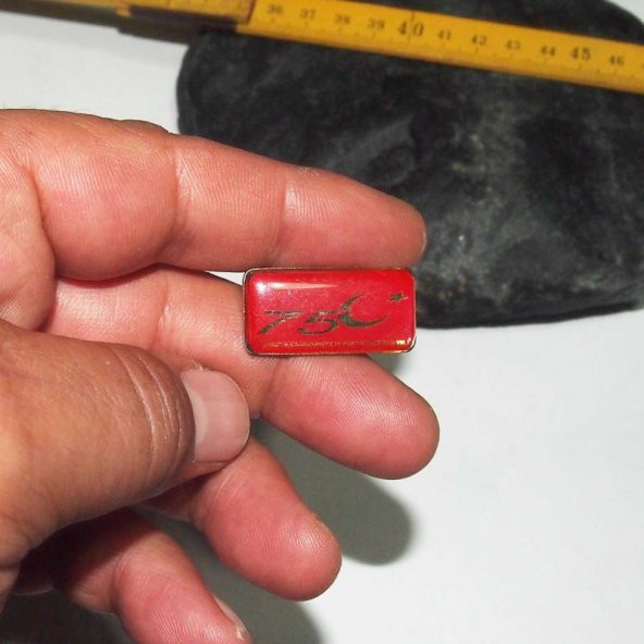 Koleksiyonluk Cumhuriyet 75. Yıl Rozet Yaka Broş CHP Ay yıldız Bayrak no 45 - 3