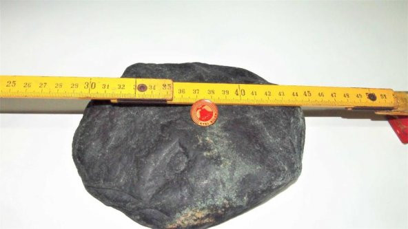 Koleksiyonluk Otel Bilen Rozet Yaka Broş - 2