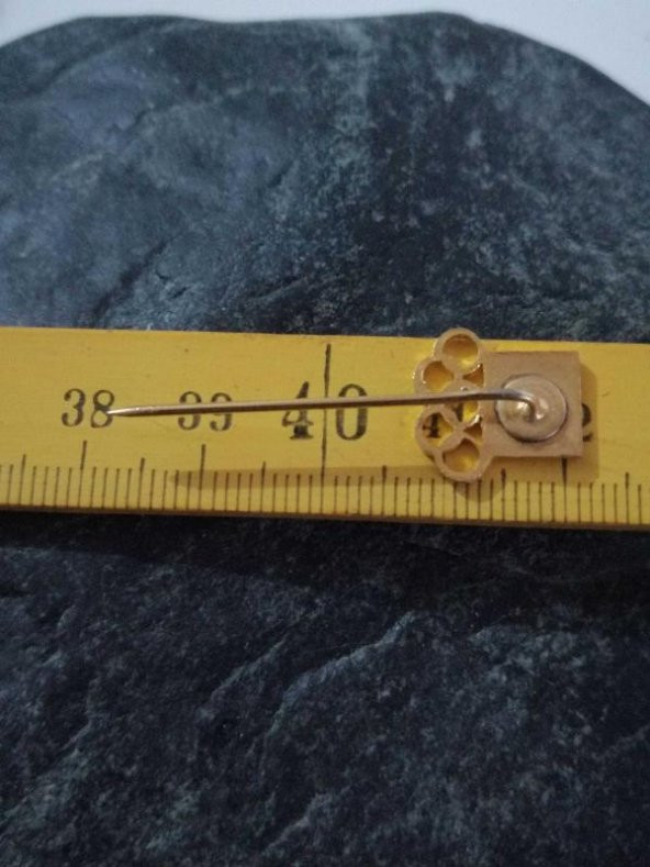 Beden Terbiyesi Genel Müdürlüğü Mineli Rozet Yaka Broş İğneli Rozet - 2
