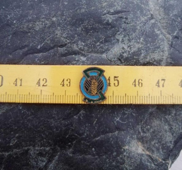 VİNTAGE ROZET YAKA BROŞU ürün görseli 1