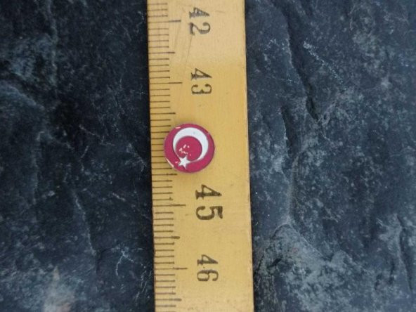 VİNTAGE METAL AYYILDIZ ETİKET ROZET - Resim 2