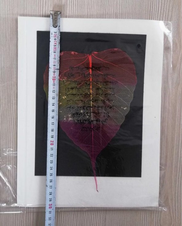 YAPRAK ÜZERİNE HAT ÇEKME no 1 ürün görseli