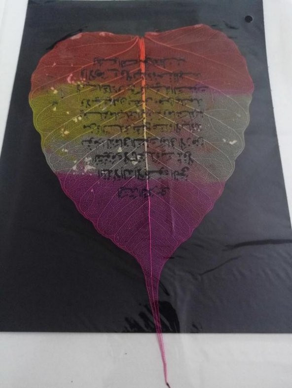 YAPRAK ÜZERİNE HAT ÇEKME no 1 - Resim 2