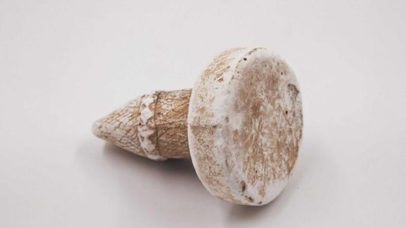 Sanat Taciri - El Yapımı Alçı Biblo  Sanatsal Küçük Heykel - 3