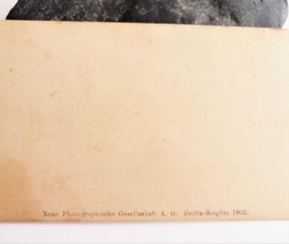 Genova Via Venti Settembre Neue Photographische Gesellschaft NPG - 3