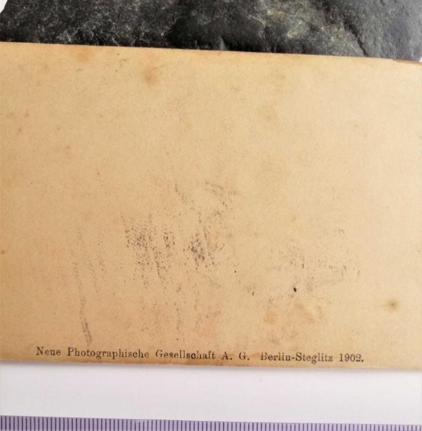 Paris Louvre Venus Genetrix Neue Photographische Gesellschaft NPG - 3