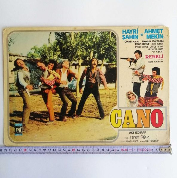 Büyük Boy Yeşil Çam Film Kartpostalları Koleksiyonluk Film Afişi Cano