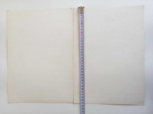 Büyük Boy Yeşil Çam Film Kartpostalları Koleksiyonluk Film Afişi - AĞLAMA - NO 2 - 2