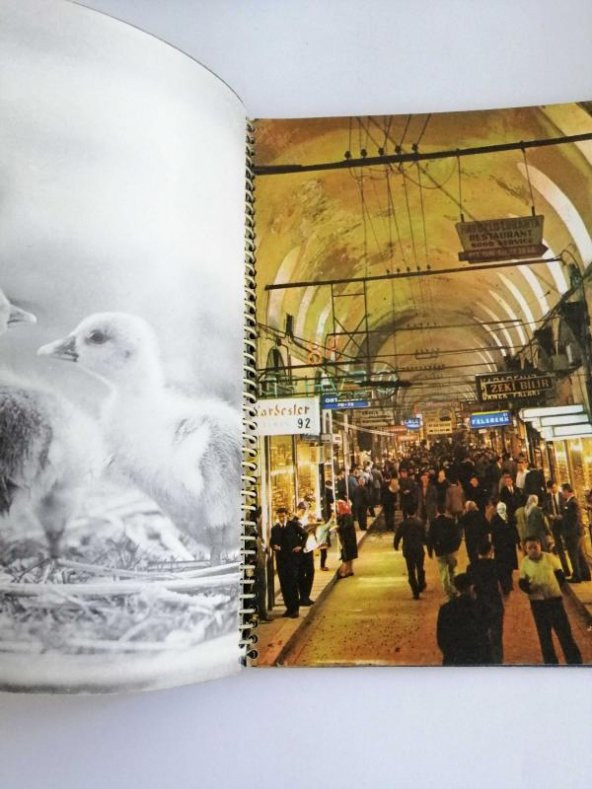 Ziraat Bankasının Tanıtım Kataloğu - 3