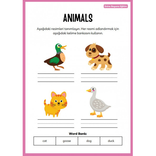 Okul Öncesi Aktivite Kitap Seti (17 Fasikül) - 4