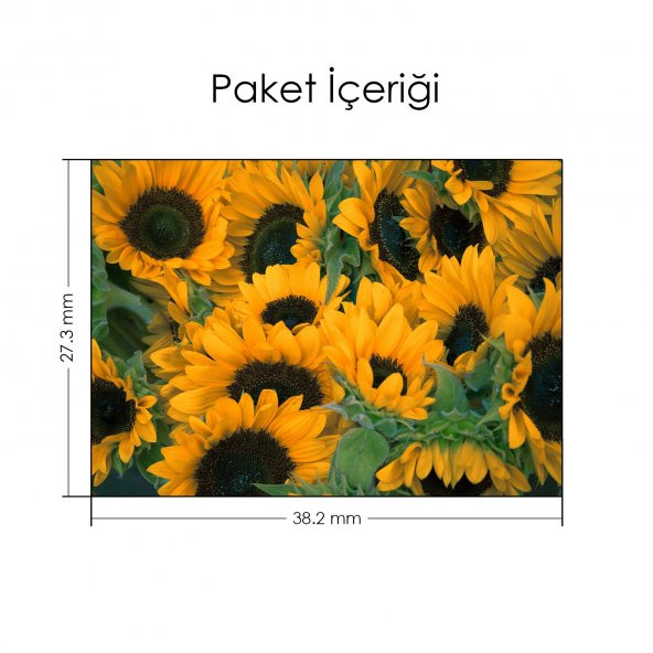 Ayçiçeği Tarlası Notebook Sticker, Laptop sticker,, Hp Sticker, Asus Sticker, 15.6 inç Sticker - 2