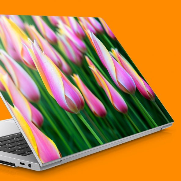 Laleler Notebook Sticker, Laptop sticker,Hp Sticker, Asus Sticker, 15.6 inç Sticker
