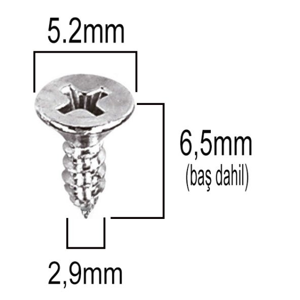 Aletçantam Havşa Başlı Küçük Vida Mini Sac Vidası Yhb 2.9x6.5 -500 Adet - 2
