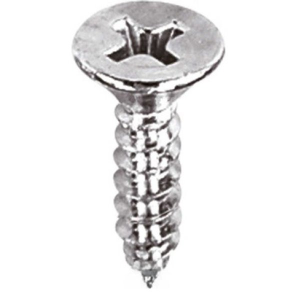 Aletçantam Havşa Başlı Küçük Vida Mini Sac Vidası Yhb 2.9x9.5 -500 Adet