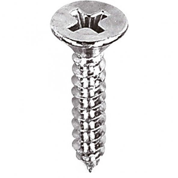 Aletçantam Havşa Başlı Küçük Vida Mini Sac Vidası Yhb 2.9x13 -500 Adet