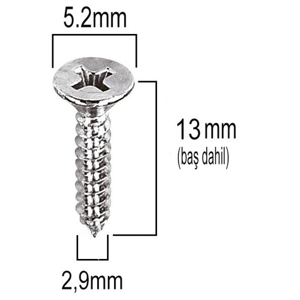 Aletçantam Havşa Başlı Küçük Vida Mini Sac Vidası Yhb 2.9x13 -500 Adet - 2