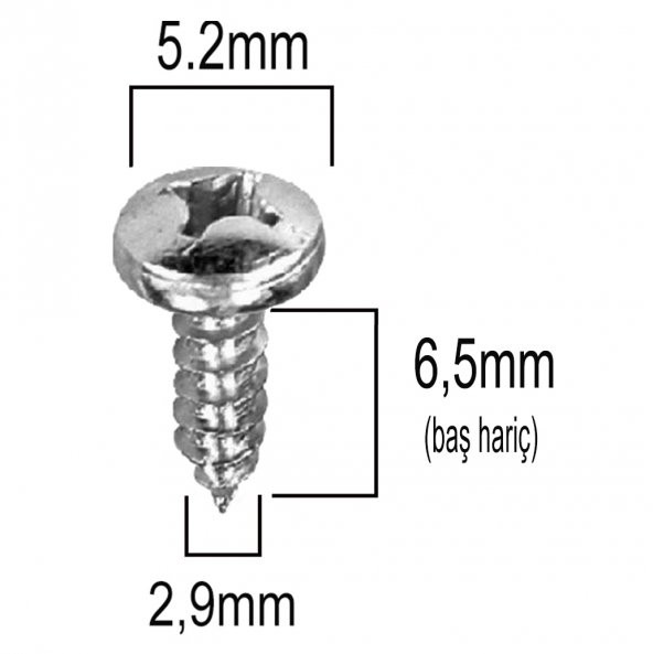 Aletçantam Silindir Başlı Küçük Vida Mini Sac Vidası Ysb 2.9x6.5 -500 Adet - 2