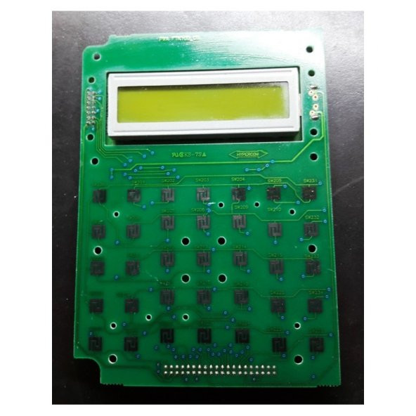 Data Vision P124 LCD Display - 2x20 (Montajlı) - 2
