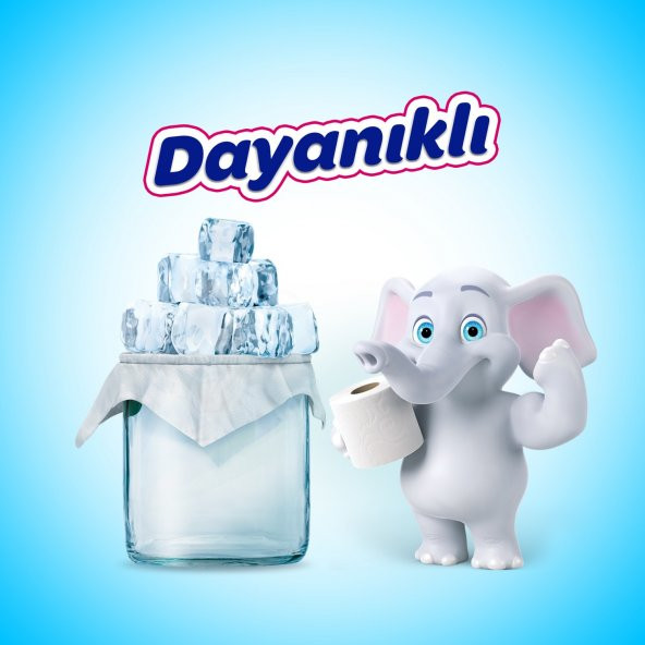 Selpak Tuvalet Kağıdı Hijyen 16 lı x 2 Adet - 4