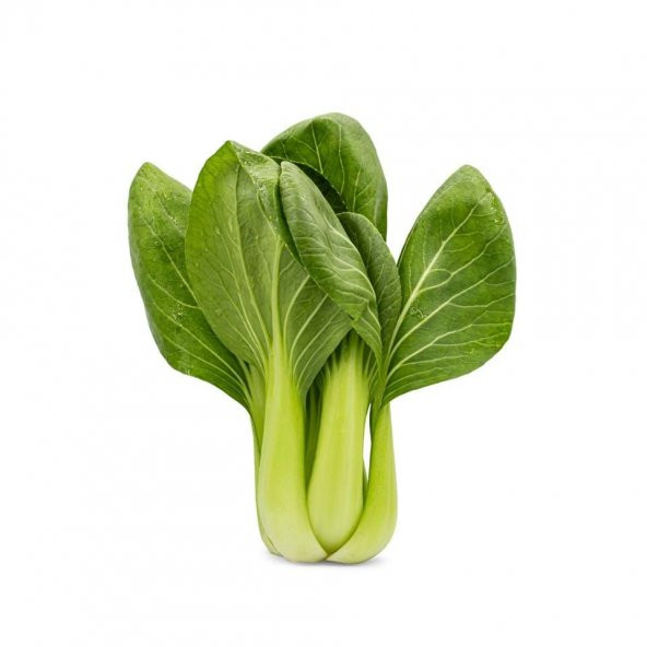 YEŞİL PAK CHOI - ÇİN LAHANASI TOHUMU ürün görseli 1
