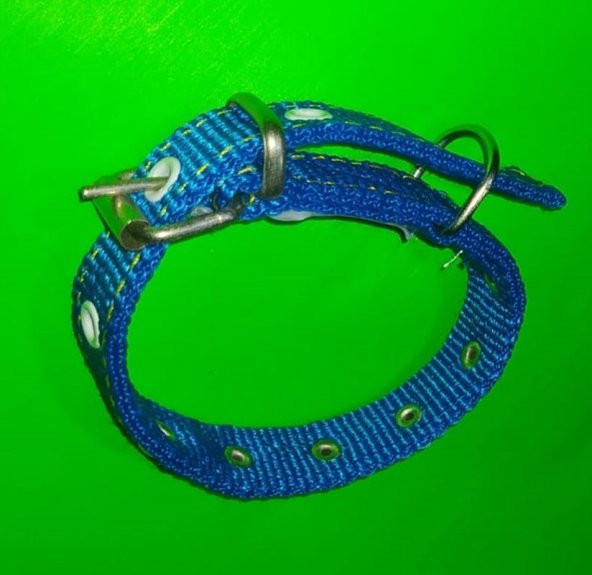 40 CM X2CM SÜSLU YAVRU TASMA MAVİ