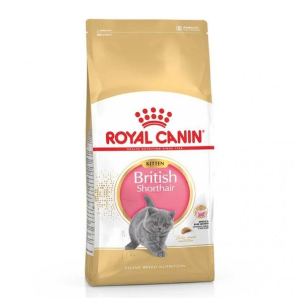 Royal Canin Kitten British Shorthair Yavru Kedi Mamasi 2kg