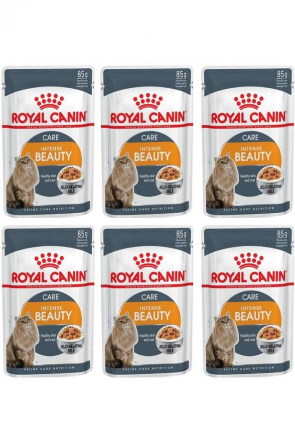 Royal Canin Intense Beauty Jel İçinde Yetişkin Kedi Konservesi 85gr 6 Adet ürün görseli