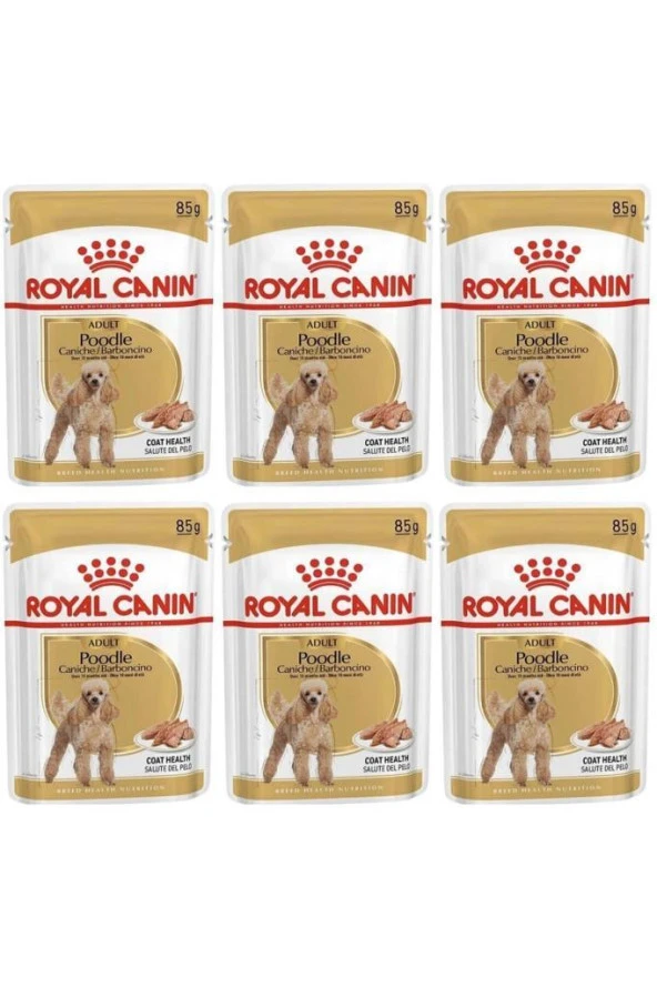 Royal Canin Adult Poodle Caniche Tüy Sagligi Destekleyici Yetiskin Köpek Konservesi 85gr 6 Adet