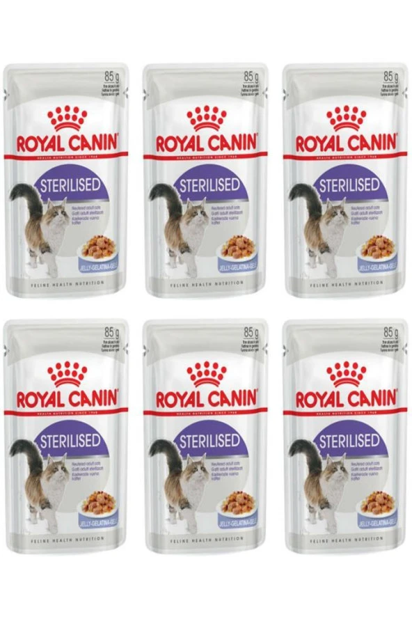 Royal Canin Jelly Sterilised Kısırlaştırılmış Yaş Kedi Maması 85 Gr 6 Adet