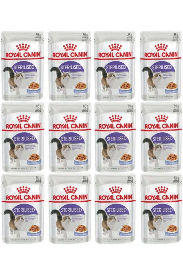 Royal Canin Jelly Sterilised Kısırlaştırılmış Yaş Kedi Maması 85 Gr 12 Adet