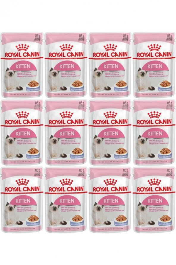 Royal Canin Jelly Kitten Yas Yavru Kedi Konservesi 85 Gr 12 Adet