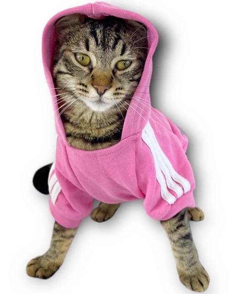 Pembe Adidog Kapşonlu Kedi Sweatshirt Kazak Duo - 2