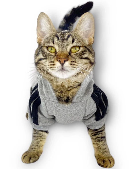 Gri Adidog Kapşonlu Duo Kedi Sweatshirt Duo - 4