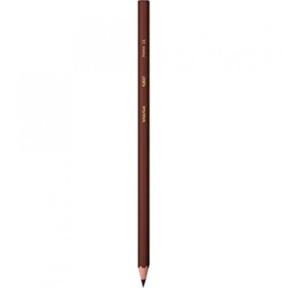 BİC KURUBOYA 24+1 METAL KURUBOYA - 3